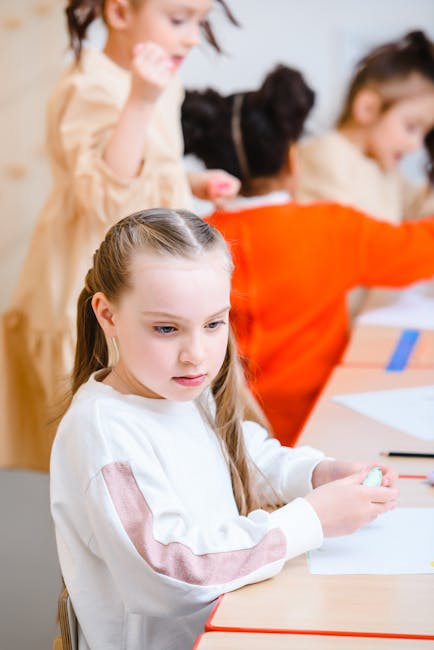 Conceptual Schools Network